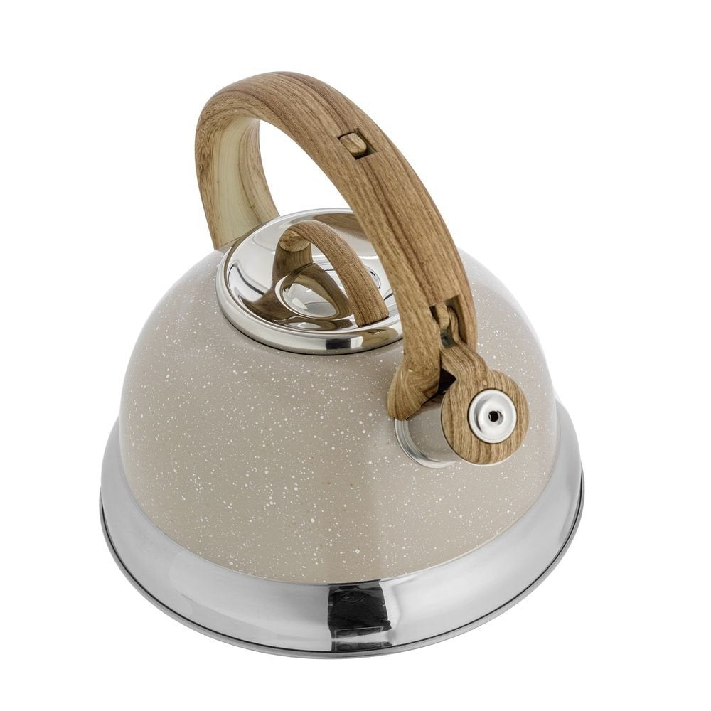 Stainless Steel Whistling Tea Kettle